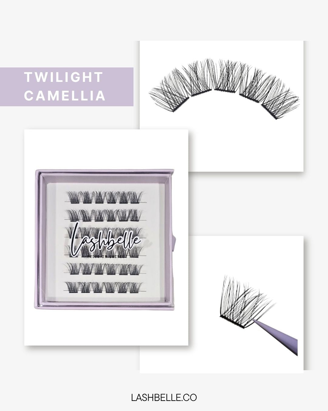 Twilight Camellia - Press-On Lashes | No Glue Needed | Hold Up to 10 Days