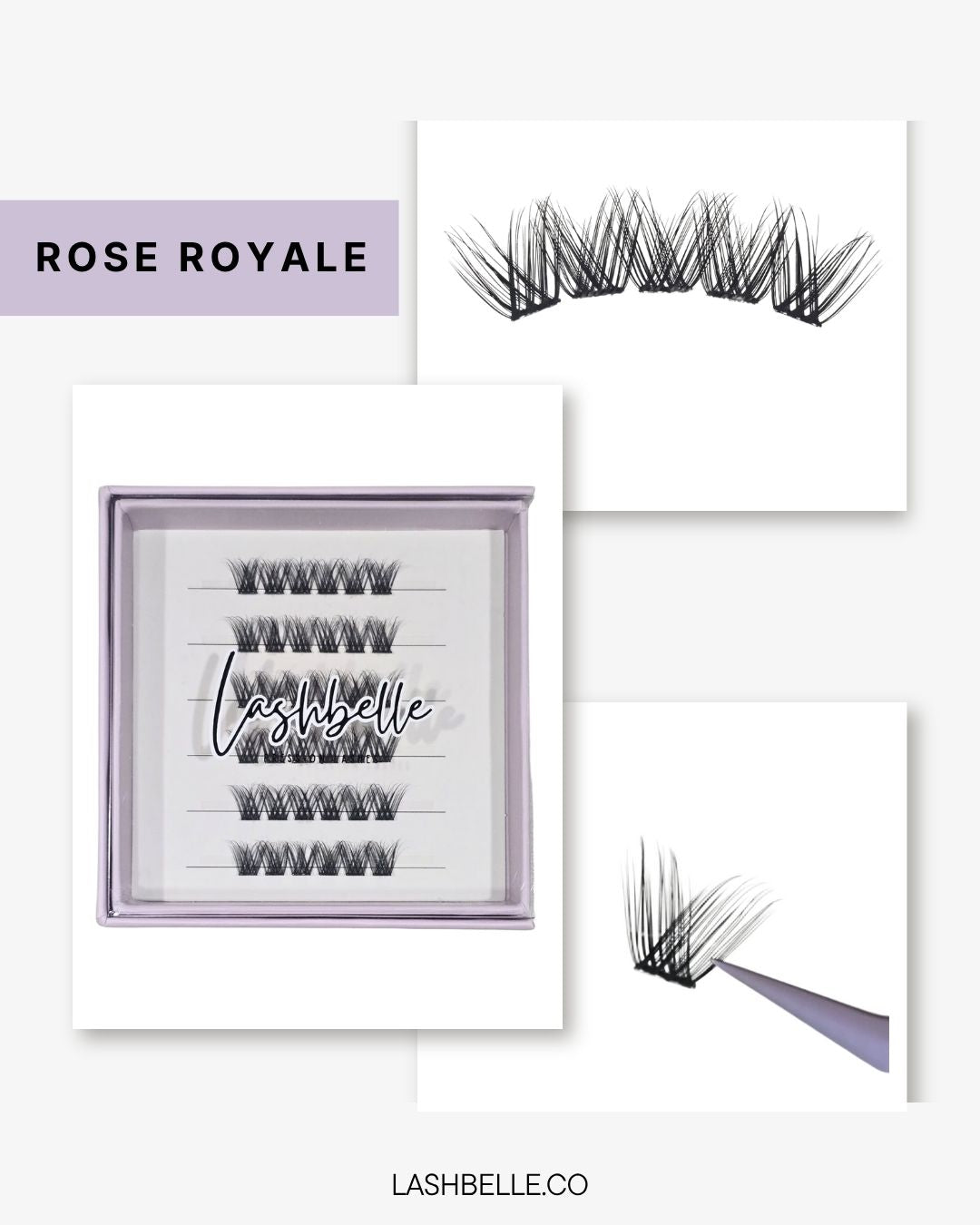 Rose Royale - Press-On Lashes | No Glue Needed | Hold Up to 10 Days